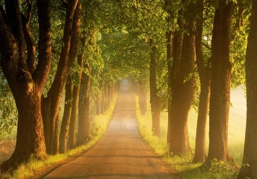 O Que é Abertura de Caminhos